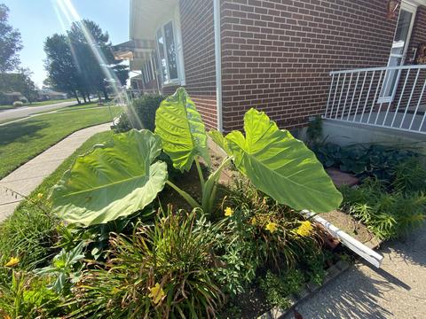 1317 Erika Dr, Springfield, OH 45503 photo 8