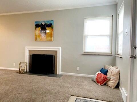 238 S Kensington Pl, Springfield, OH 45503 photo 3