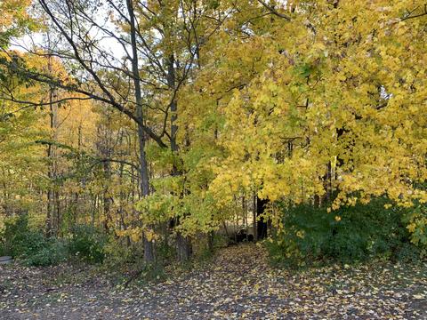 17650 E Mason Rd, Sidney, OH 45365 photo 3