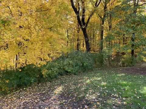 17650 E Mason Rd, Sidney, OH 45365 photo 4