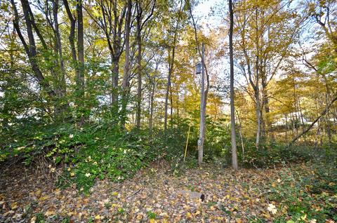 2370 Kuther Rd, Sidney, OH 45365 photo 38