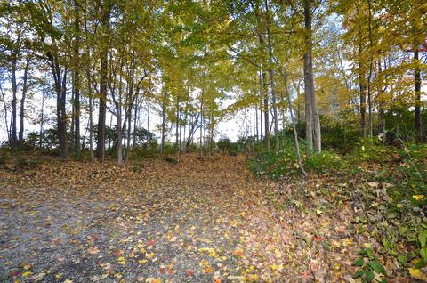 2370 Kuther Rd, Sidney, OH 45365 photo 36