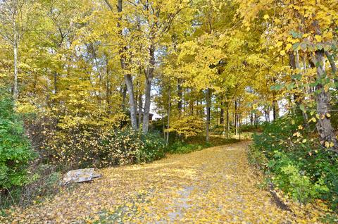 2370 Kuther Rd, Sidney, OH 45365 photo 43