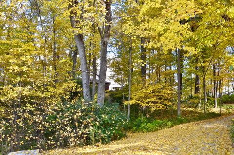 2370 Kuther Rd, Sidney, OH 45365 photo 44