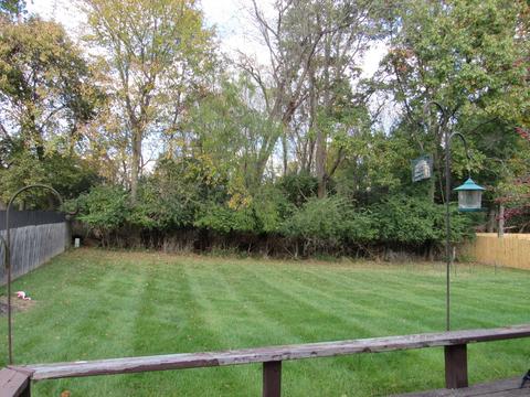 1224 Apollo Ave, Springfield, OH 45503 photo 31