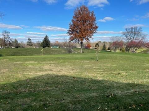 1104 N Broadway Ave, Sidney, OH 45365 photo 5