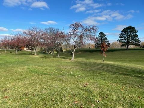 1104 N Broadway Ave, Sidney, OH 45365 photo 4