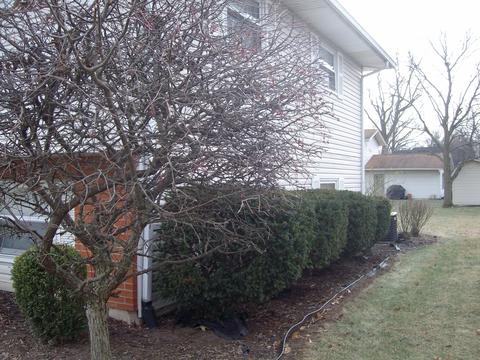 210 Oak St, Celina, OH 45822 photo 34