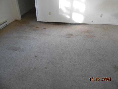 602 Lick St, Kenton, OH 43326 photo 8
