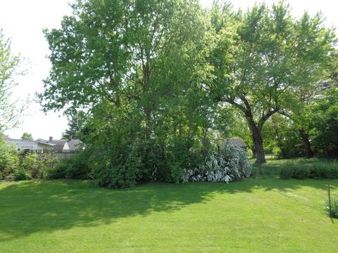 2219 Kenton St, Springfield, OH 45505 photo 5