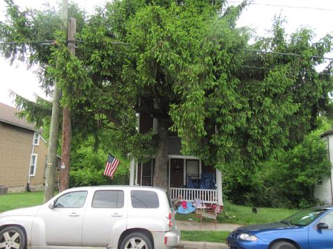 604 Harrison St, Springfield, OH 45505 photo 2