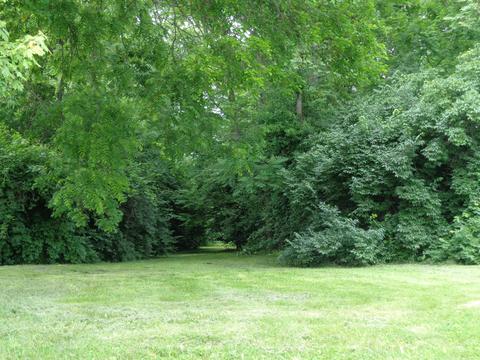 237 Buxton Ave, Springfield, OH 45505 photo 9