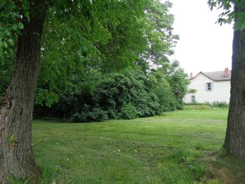 237 Buxton Ave, Springfield, OH 45505 photo 11