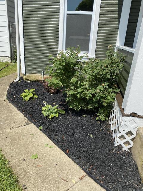 405 N Bell Ave, Springfield, OH 45504 photo 4