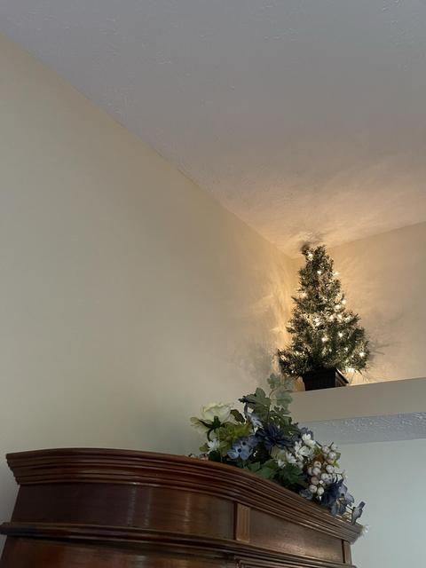 1918 Cattail, Springfield, OH 45502 photo 20