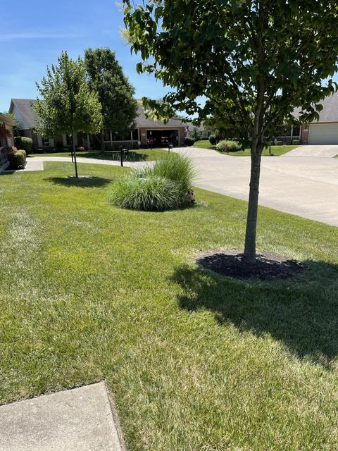 1918 Cattail, Springfield, OH 45502 photo 9