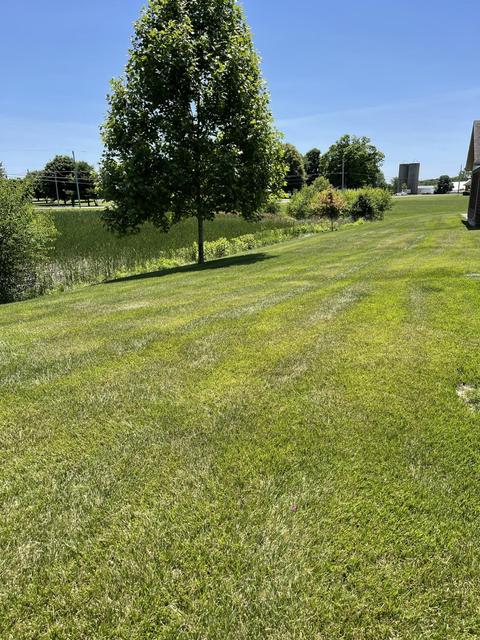 1918 Cattail, Springfield, OH 45502 photo 51