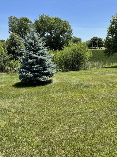 1918 Cattail, Springfield, OH 45502 photo 50