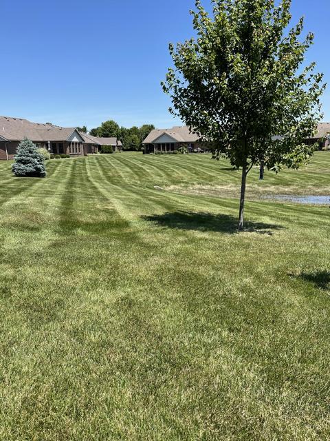 1918 Cattail, Springfield, OH 45502 photo 46
