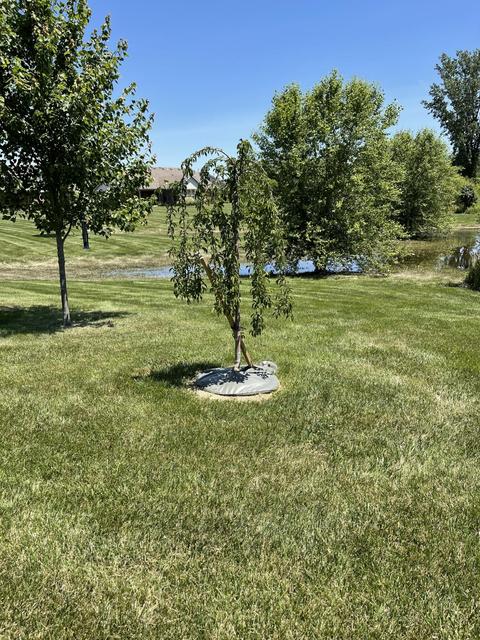 1918 Cattail, Springfield, OH 45502 photo 48