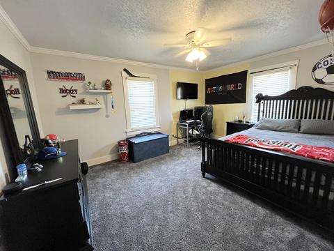 606 N Ash St, Celina, OH 45822 photo 19