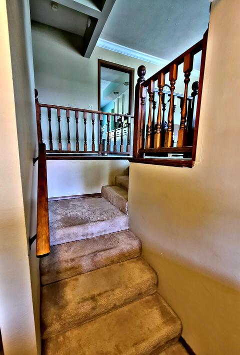 740 Santa Monica Ave, Springfield, OH 45503 photo 4