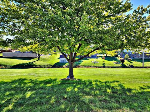 4432 Ridgewood Rd East Rd, Springfield, OH 45503 photo 3