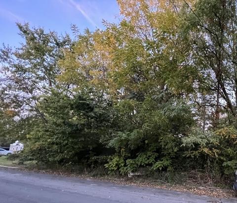 1890 Ohio Ave, Springfield, OH 45505