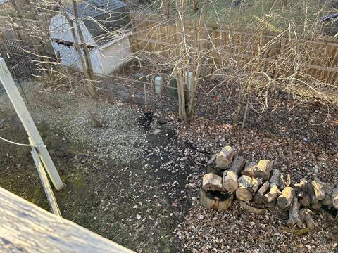 613 Linden Ave, Celina, OH 45822 photo 64