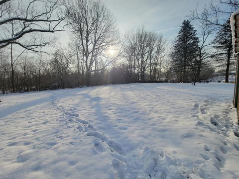 328 Saint Paul Ave, Springfield, OH 45504 photo 3