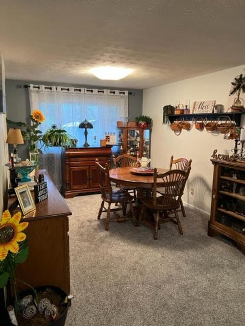 2622 Home Orchard Dr, Springfield, OH 45503 photo 5