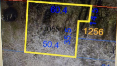 0 S Center Rear St, Springfield, OH 45506