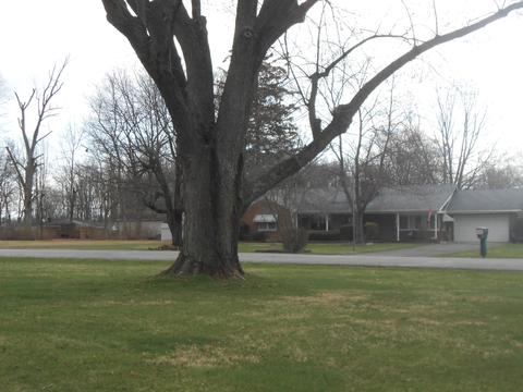 337 Forest Dr, Springfield, OH 45505 photo 12
