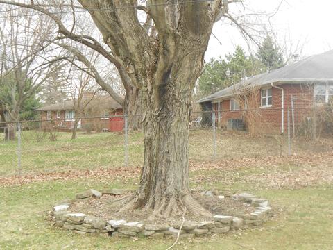 337 Forest Dr, Springfield, OH 45505 photo 78