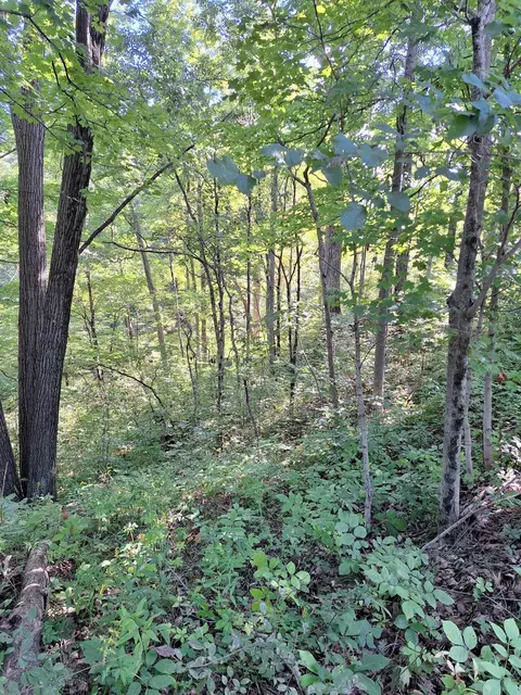 0000 Vine St, Rushsylvania, OH 43347