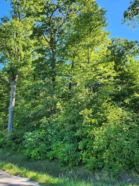 0 Metz Rd, Jackson Center, OH 45334