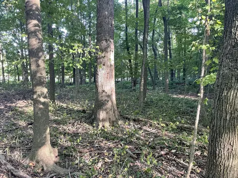 0 Snapp Rd, De Graff, OH 43318 photo 14