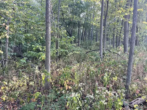 0 Snapp Rd, De Graff, OH 43318 photo 12