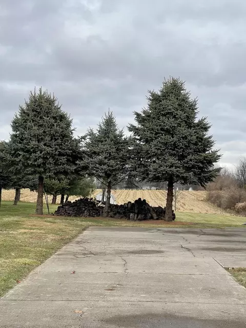 3240 Willow Rd, Springfield, OH 45502 photo 51