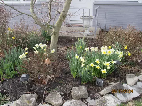 Exterior - 2132 W Mile Rd, Springfield, OH 45503 photo 3 of 18