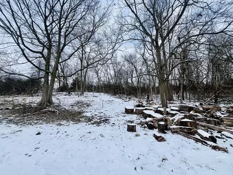 1767 N Belmont Ave, Springfield, OH 45503 photo 10