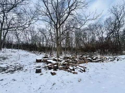 1767 N Belmont Ave, Springfield, OH 45503 photo 9