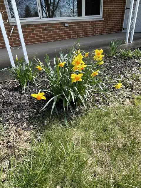 Exterior - 4228 Petre Rd, Springfield, OH 45502 photo 5 of 19