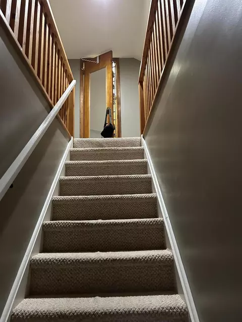 Entry Way - 713 Willow St, Celina, OH 45822 photo 1 of 3
