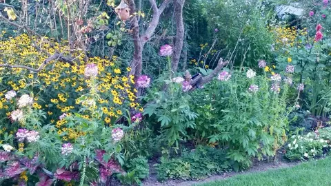 Other - 272 N Broadmoor Blvd, Springfield, OH 45504 photo 9 of 12
