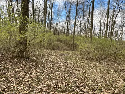 O Flatfoot Road, Cable, OH 43009 photo 26