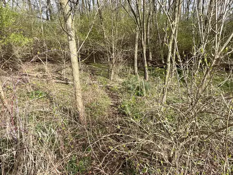 O Flatfoot Road, Cable, OH 43009 photo 38