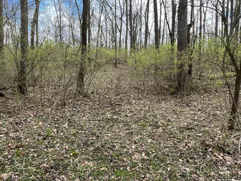 O Flatfoot Road, Cable, OH 43009 photo 34