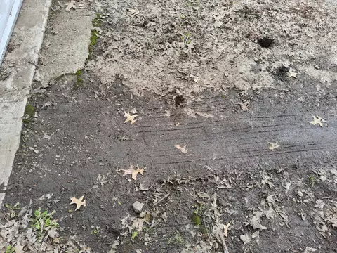 View/Area - 109 Pershing St, Celina, OH 45822 photo 2 of 3