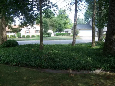Exterior - 649 Linden Ave, Celina, OH 45822 photo 6 of 11